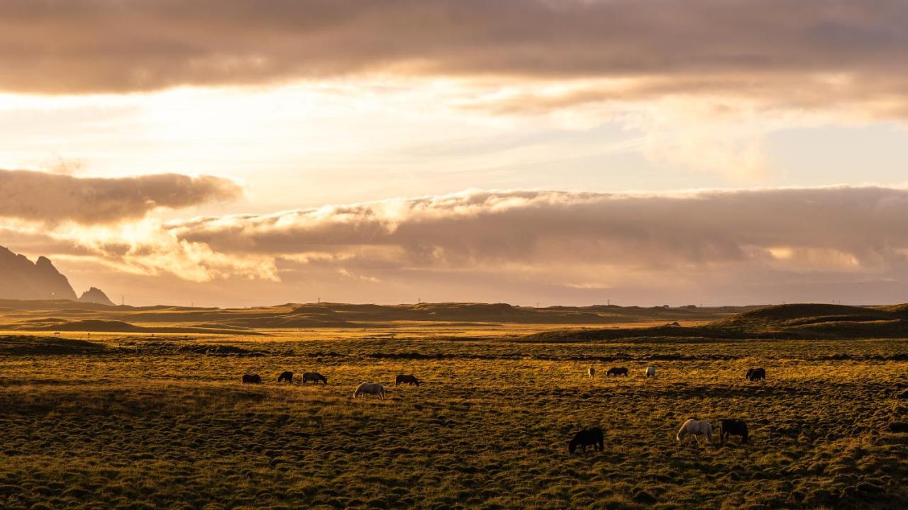 Arnanes Country Hotel Höfn Eksteriør bilde